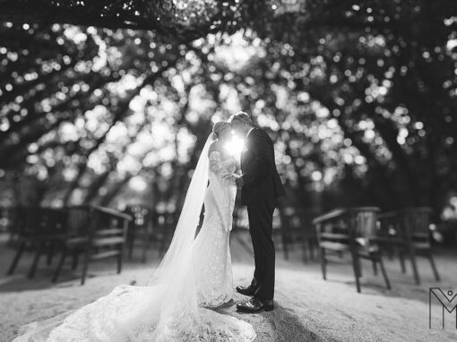 Hochzeit im Spreewald im Weidendom und dem Resort Seinerzeit – Hochzeitsfotograf Matthias Friel